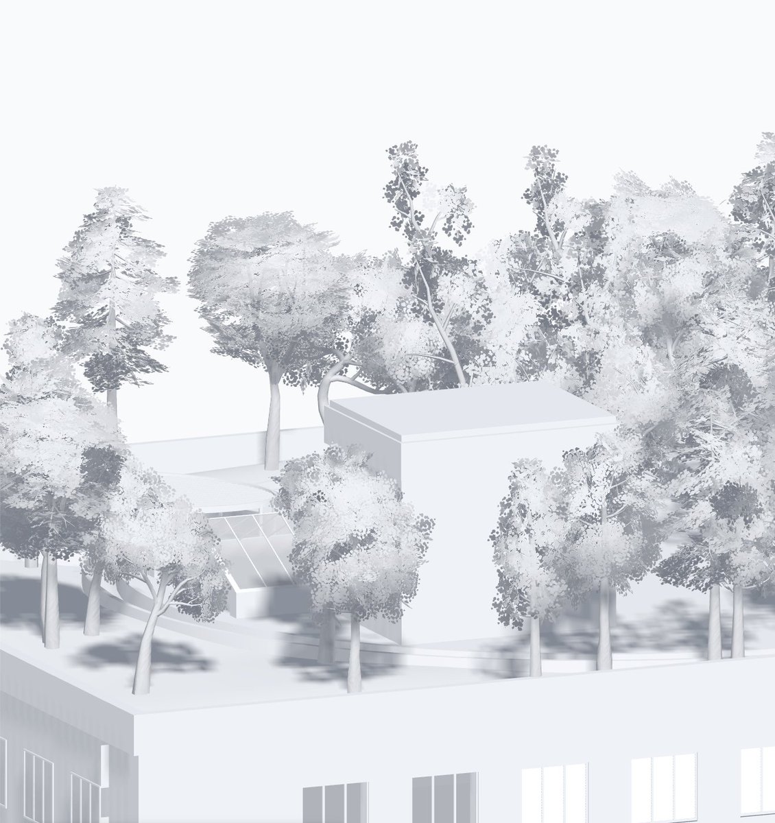 Seth Thompson tweet media