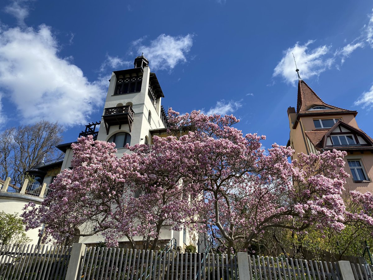 Hochtouren Dresden tweet media