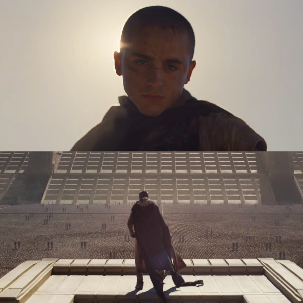 Timothée Chalamet Updates tweet media