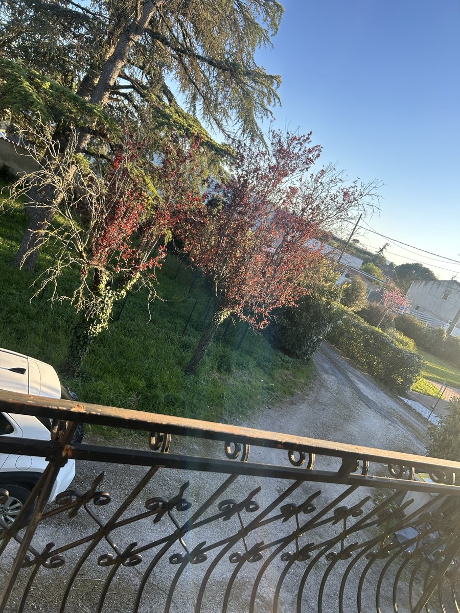 ☀️☀️