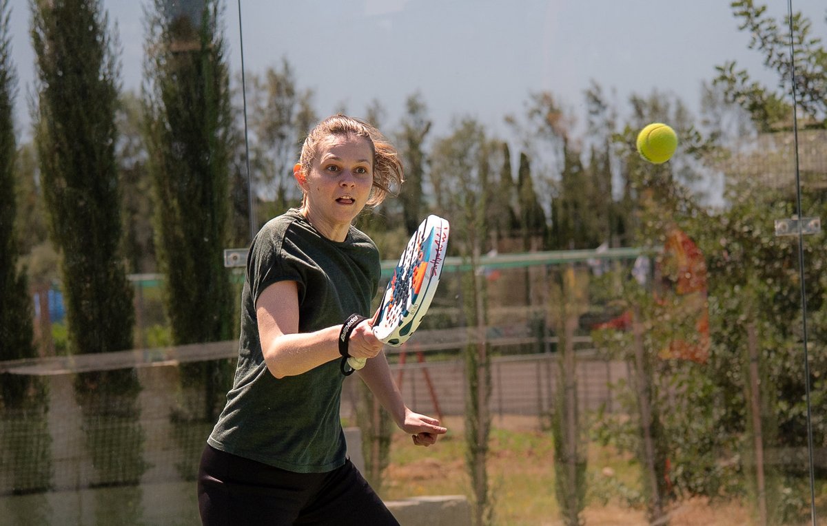 International Chess Federation tweet media