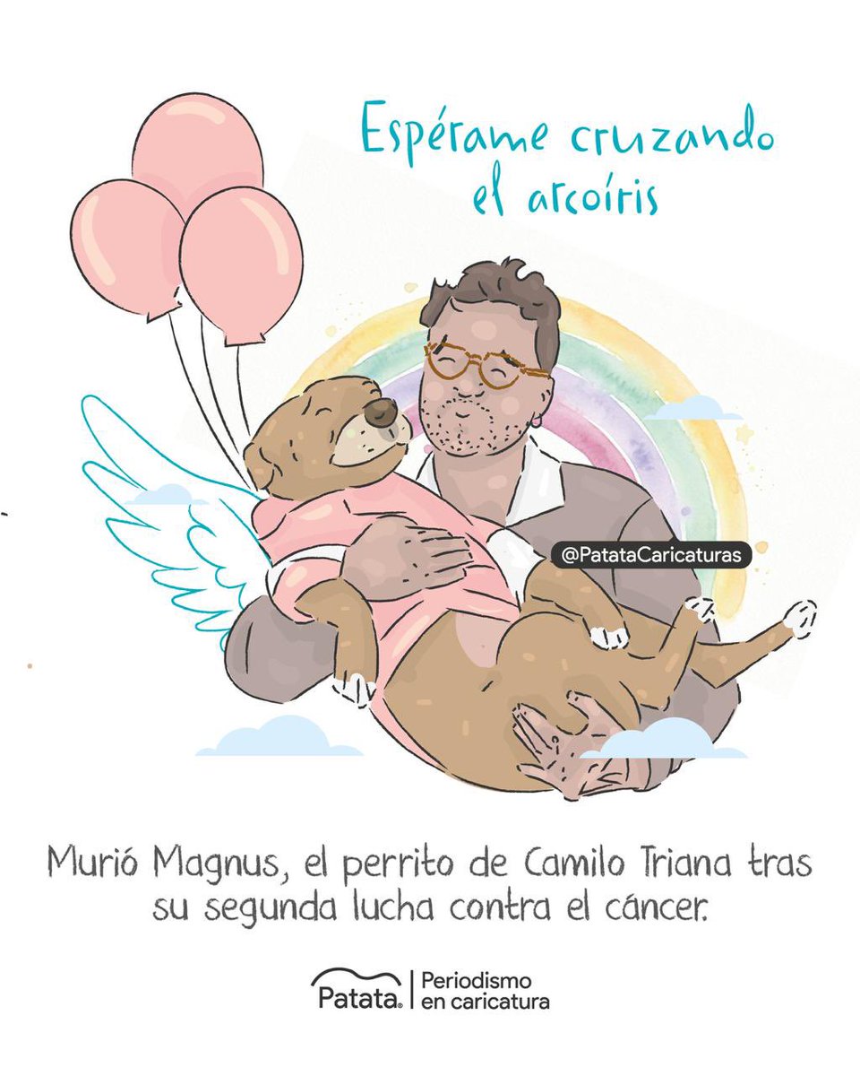 Patata Caricaturas tweet media