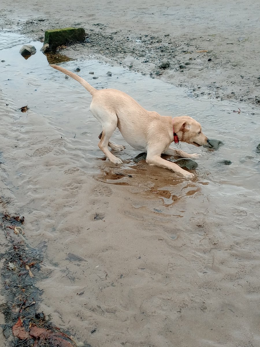 Kate Kivlichan tweet media