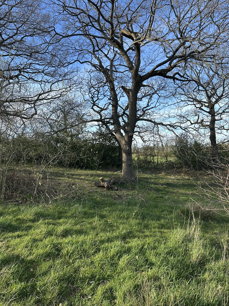 Chris Horn tweet media