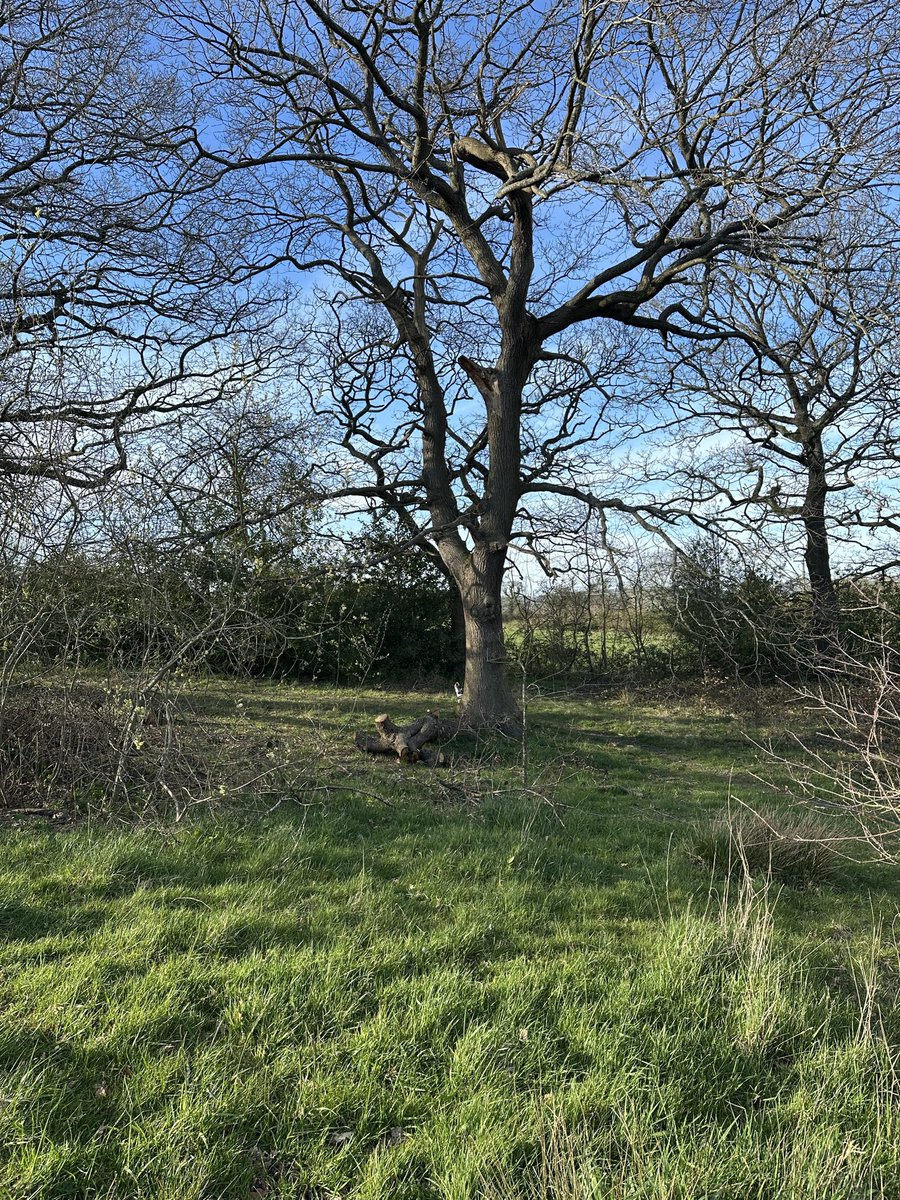 Chris Horn tweet media