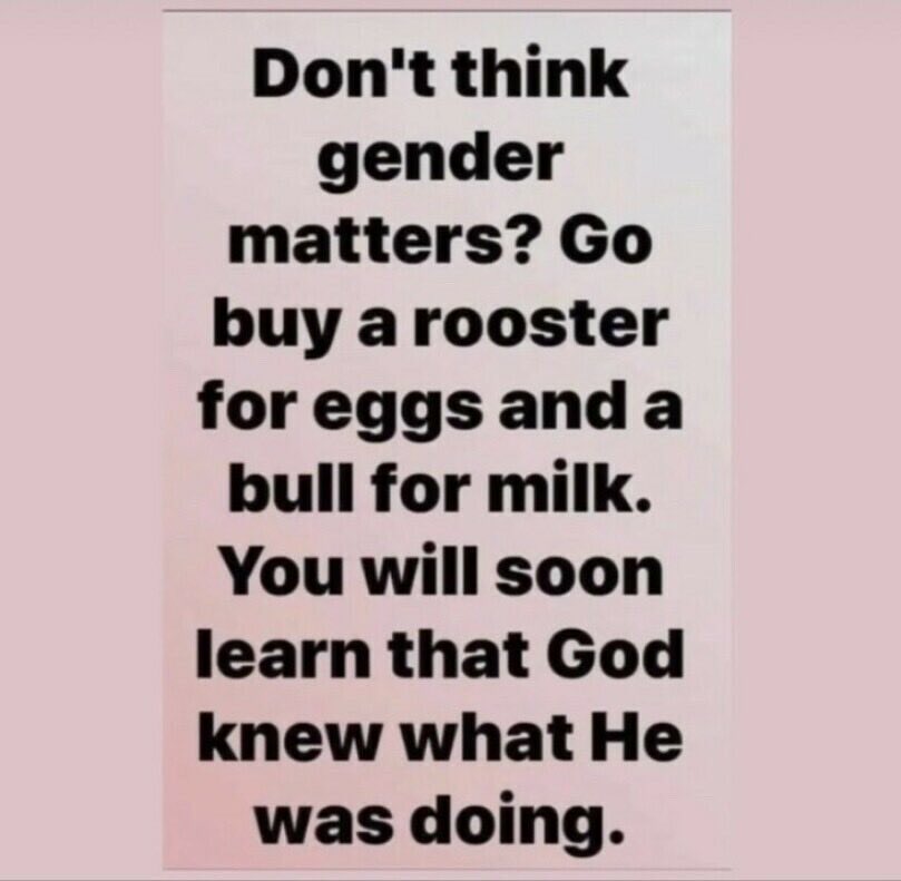 Laura Mallow tweet media