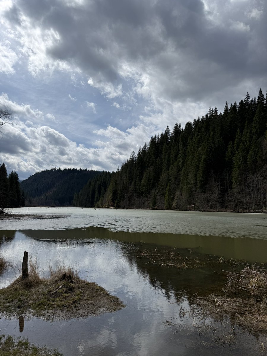 ViajeMapache's tweet photo. El lago LACU ROȘU se llama en húngaro Gyilkos-tó (“lago de la muerte”) porque nació tras un deslizamiento en 1837 que arrasó unn valle entero🌲💀
Hoy, los troncos siguen emergiendo del agua como recuerdo de ese paisaje “asesinado”. https://t.co/pEvQmbrf9z