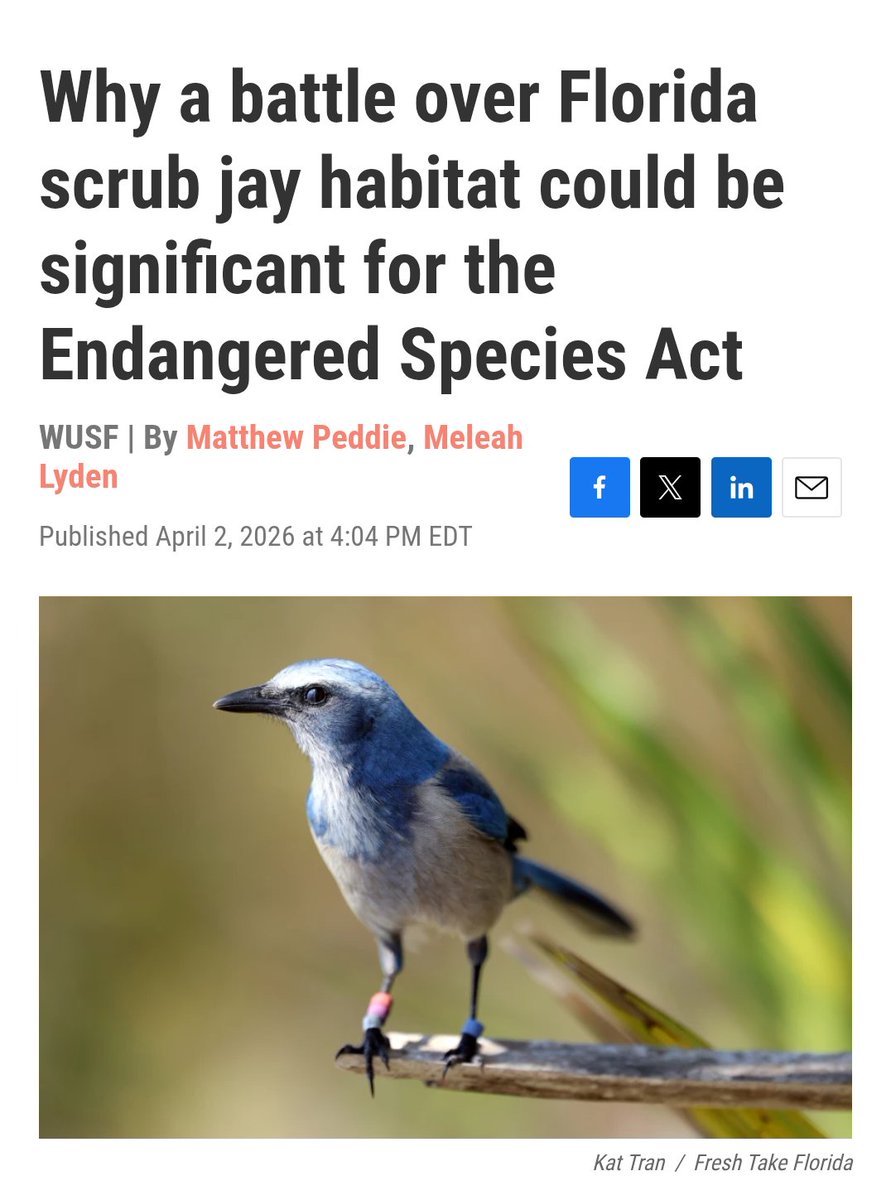 XANDER GEOGRAPHIC 🏕️ tweet media