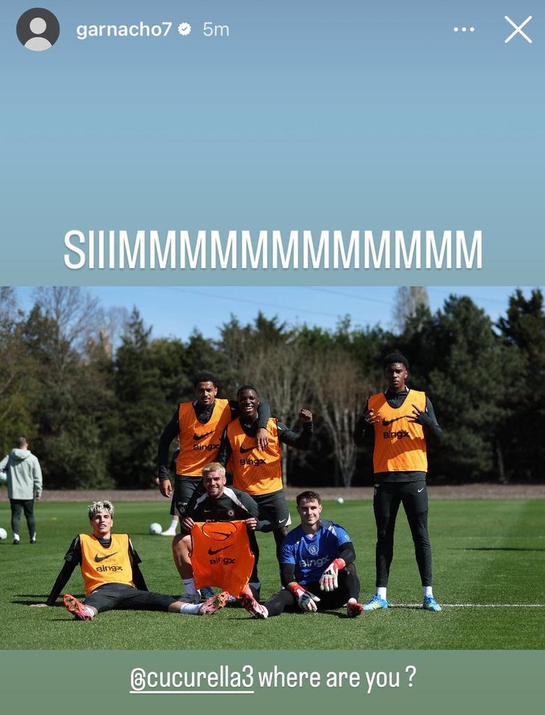 THE CHELSEA FORUM tweet media