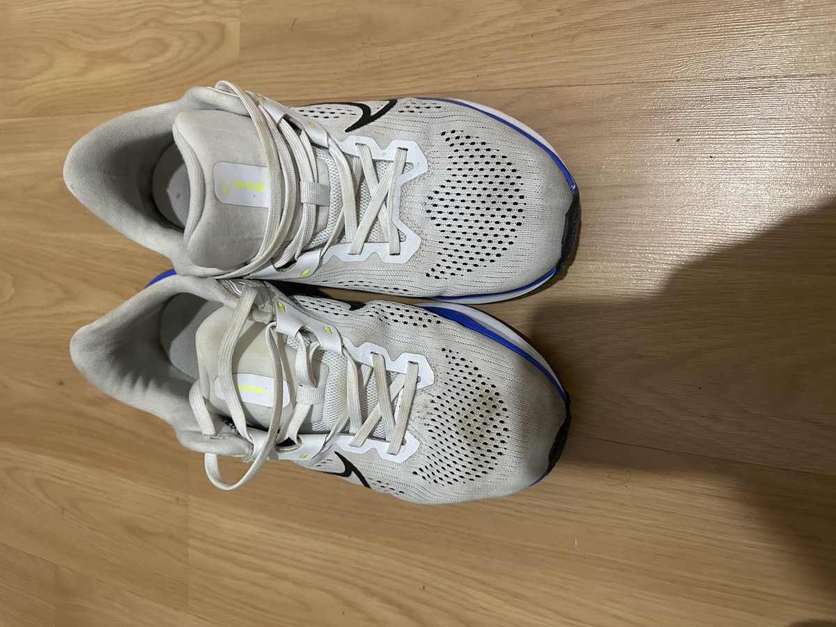 Ev Gülmez tweet media