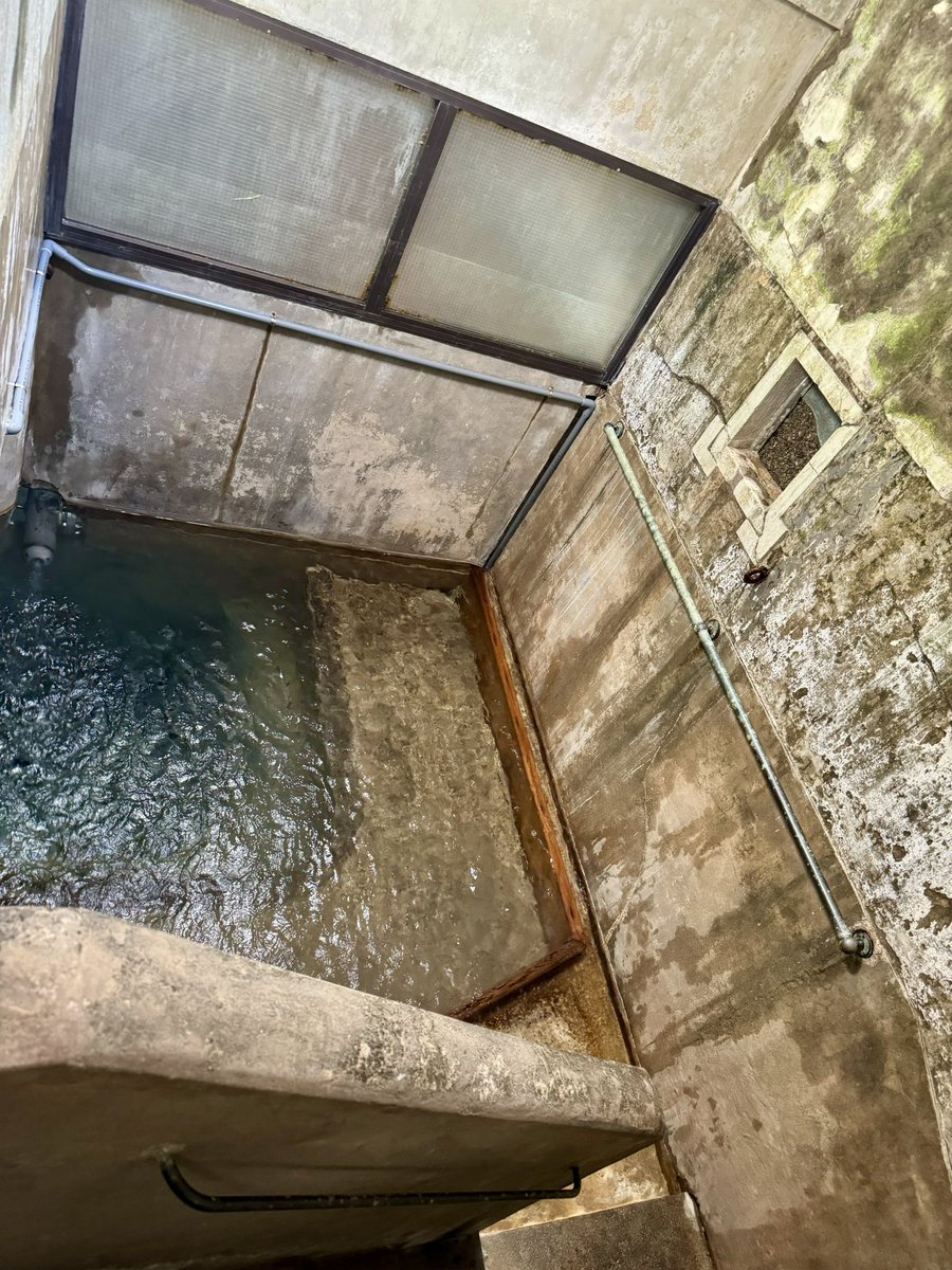 47AgDragon(しるどら)運命の悪魔好評発売中 tweet media