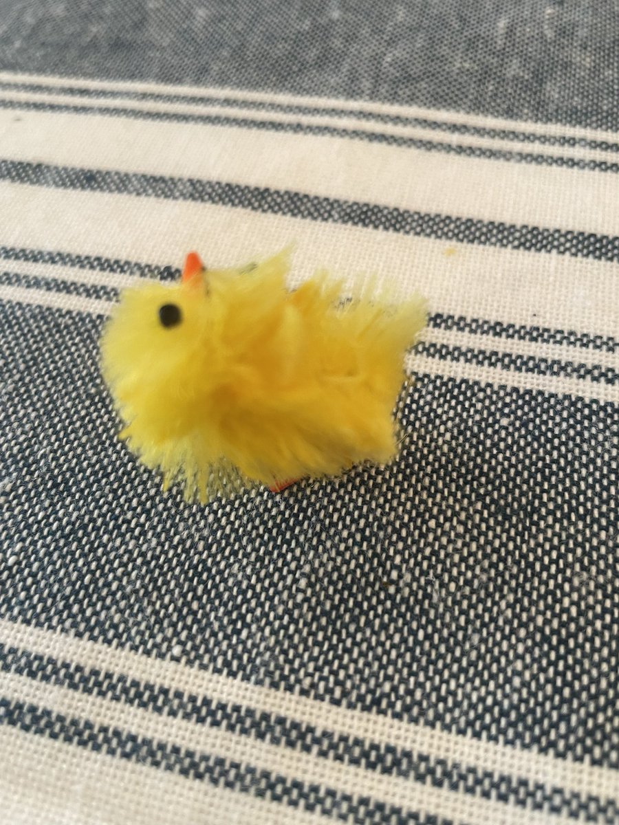 Last Season tweet media