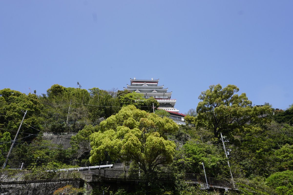 Patrick Galvan tweet media