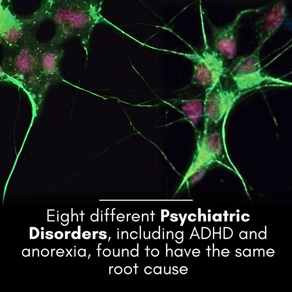 Shining Science tweet media