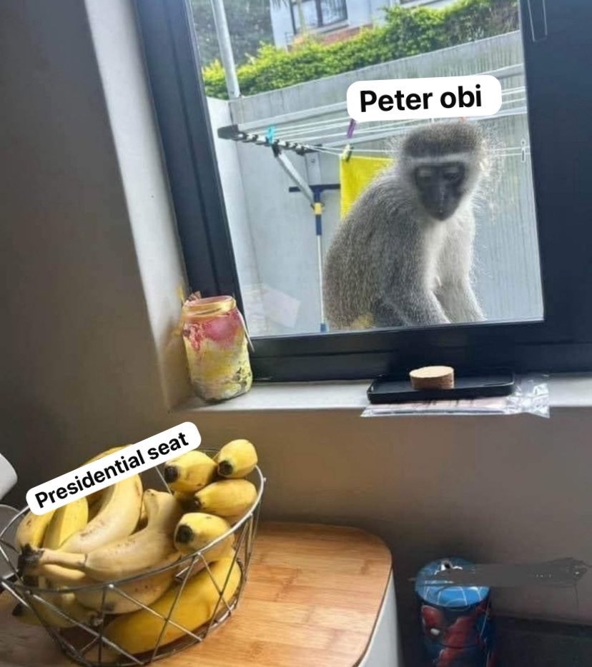 Champ👤 tweet media