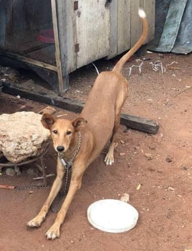 Champ👤 tweet media