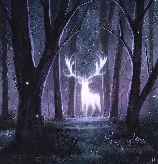 ran ₊˚⊹ tweet media