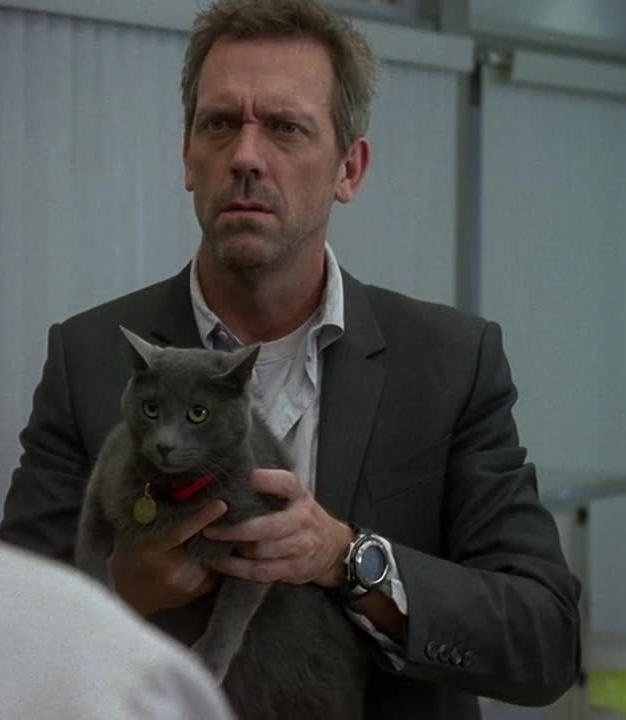 🐺 Anna 🦈 tweet media