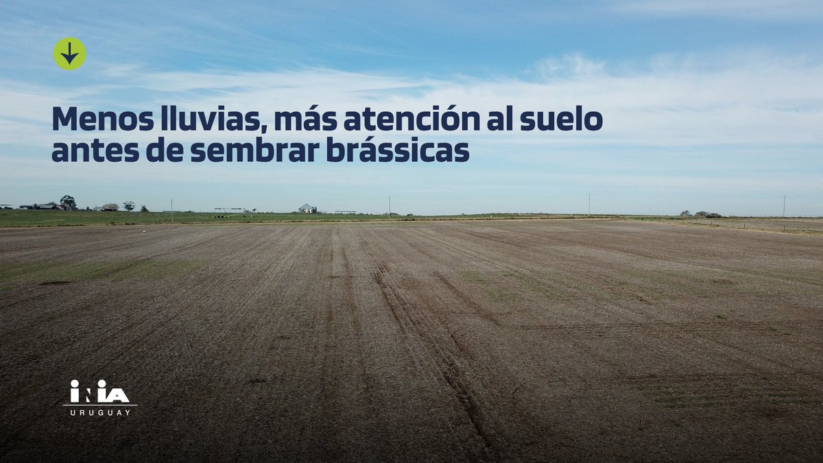 INIA URUGUAY tweet media