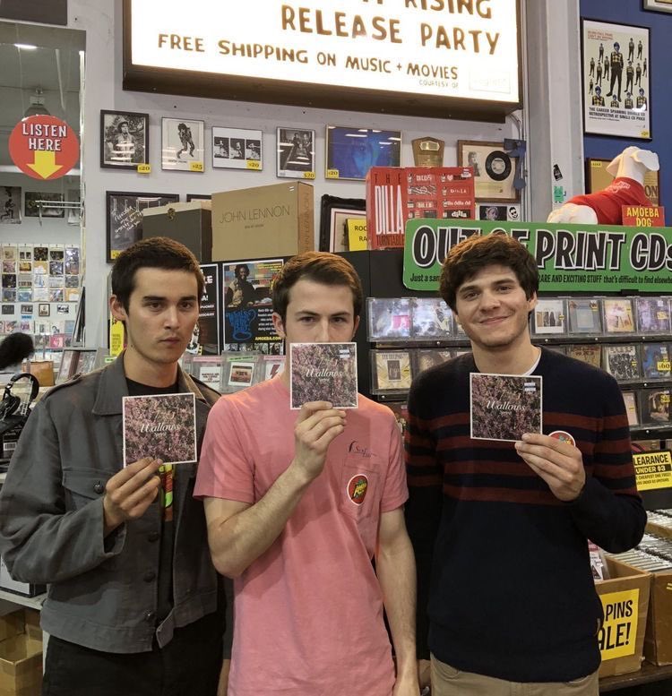 wallowcrave tweet media