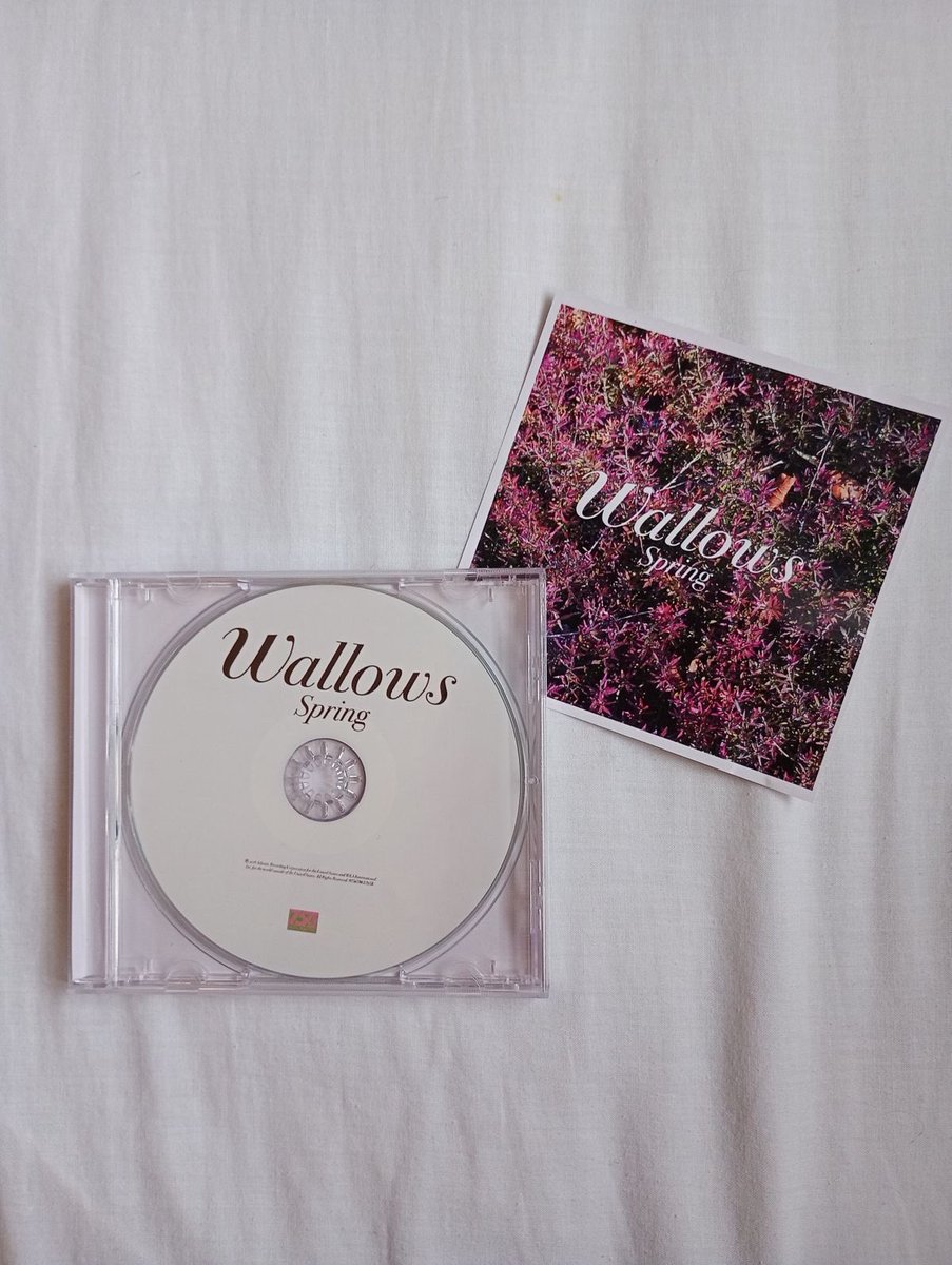 wallowcrave tweet media