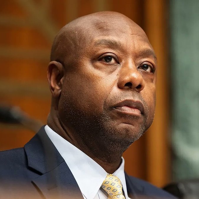 STEPH IS CRYPTO tweet media