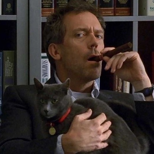 🐺 Anna 🦈 tweet media