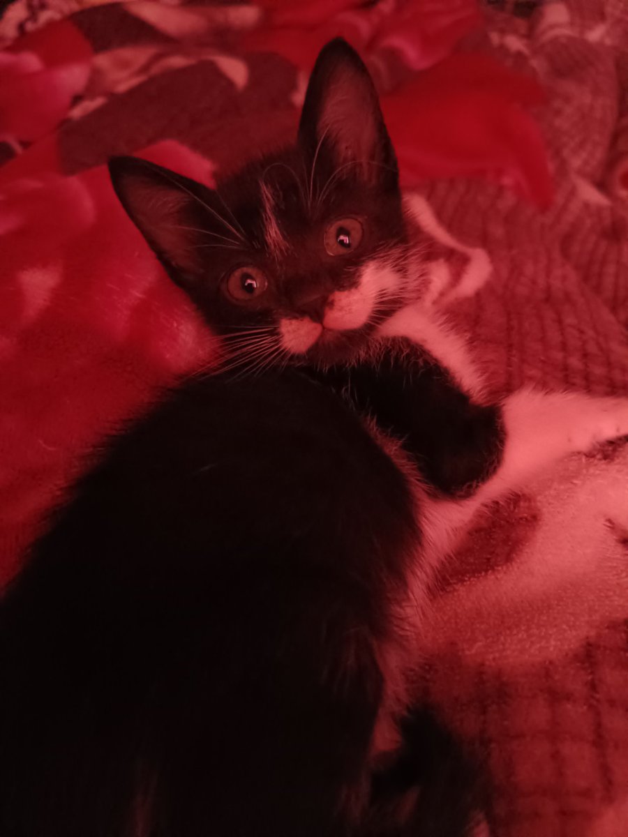 ؘkaka🎀 tweet media