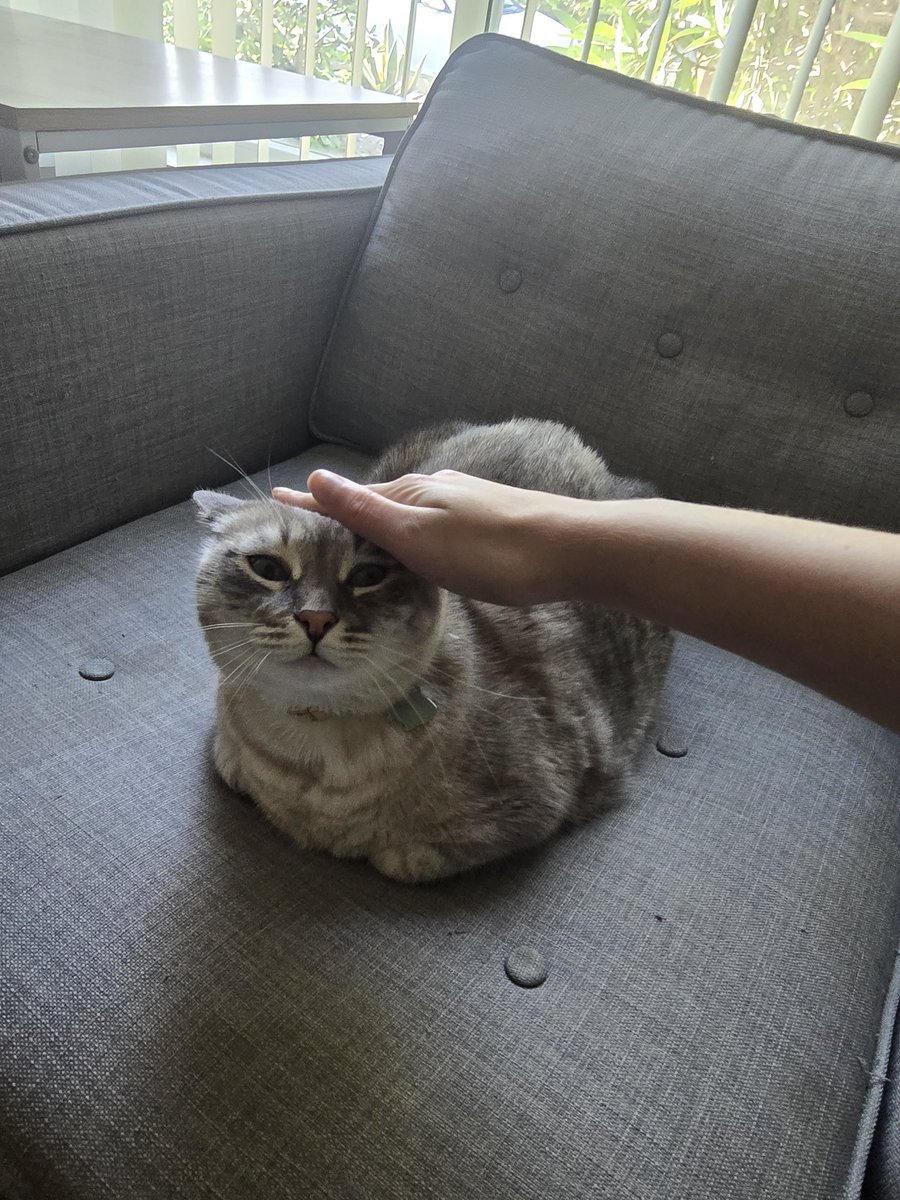 Mo🇺🇸 tweet media