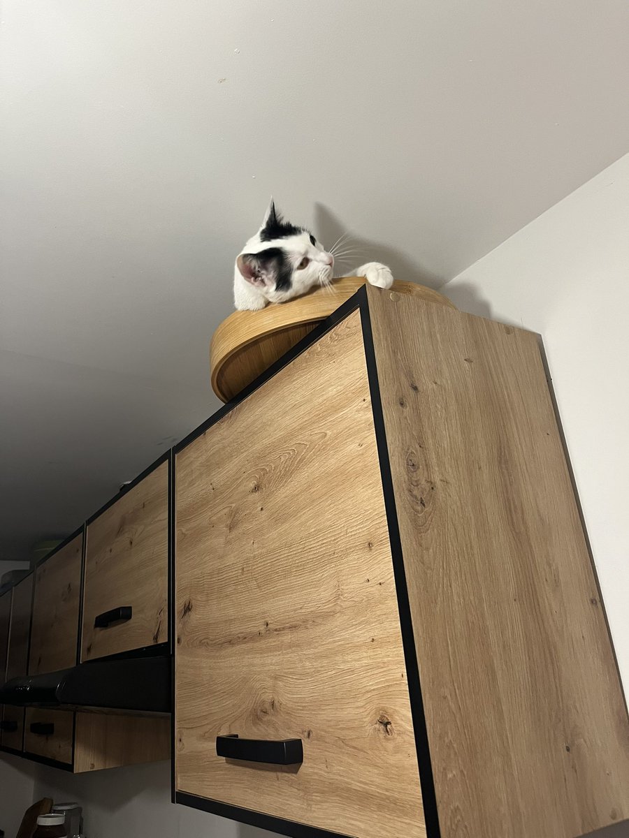 walentyn tweet media