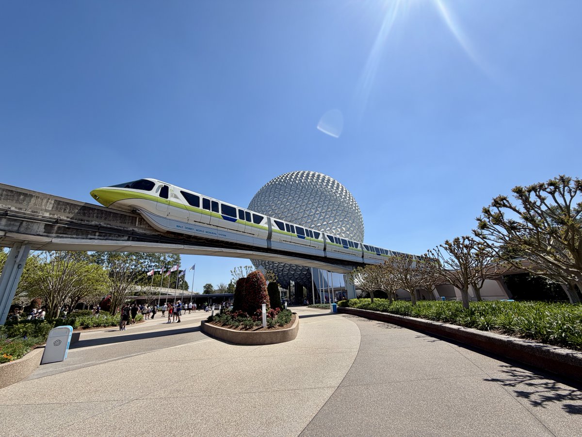 Michelle Fisher tweet media