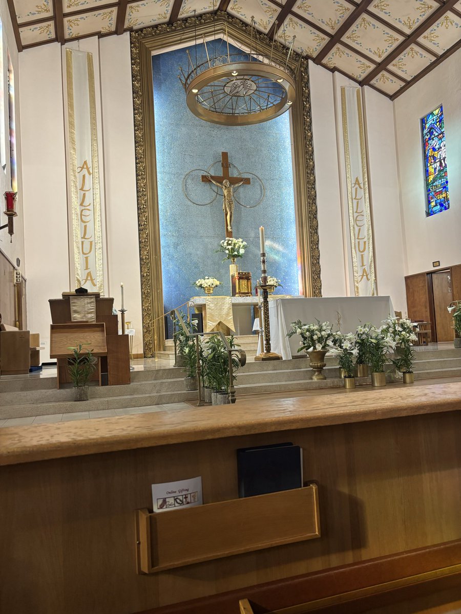 Steven Anthony Fiorentino tweet media