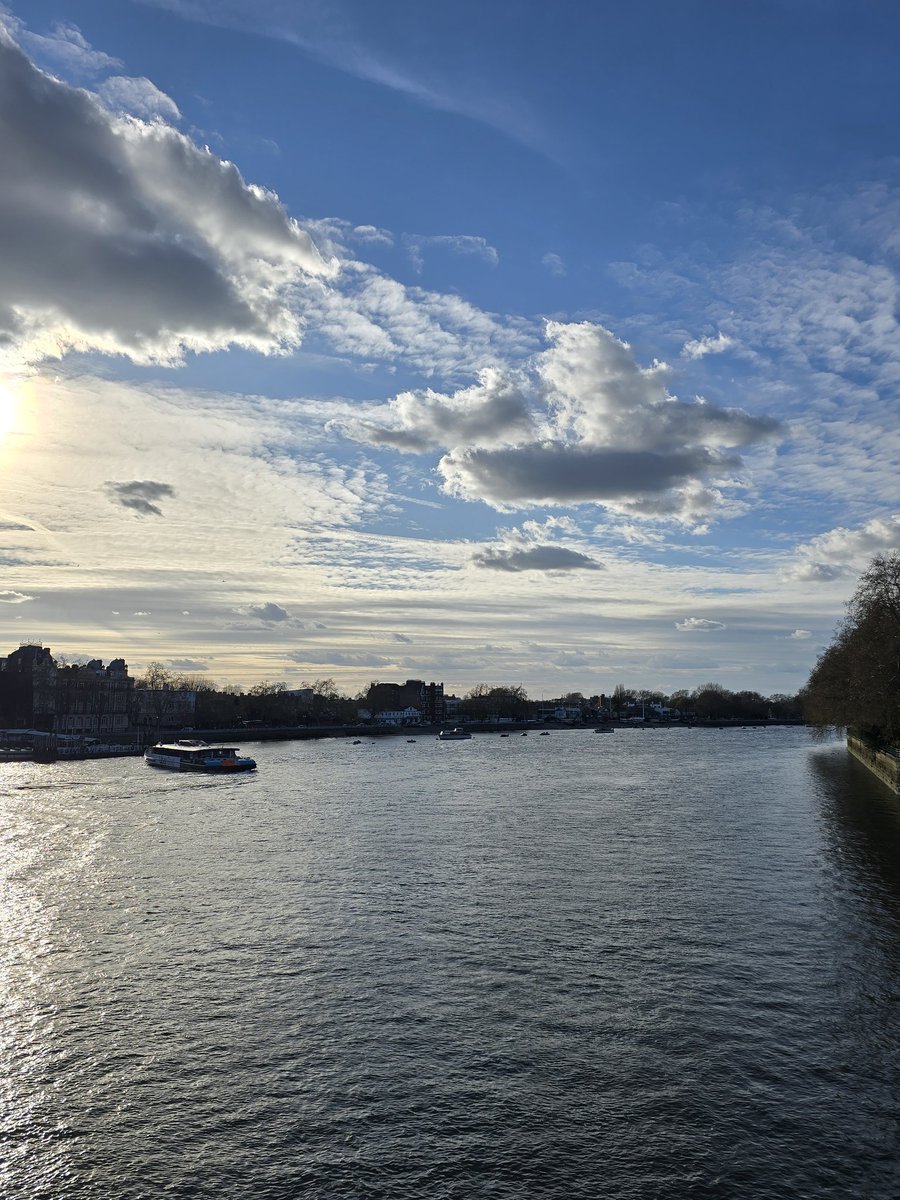 Amir Kalhor tweet media