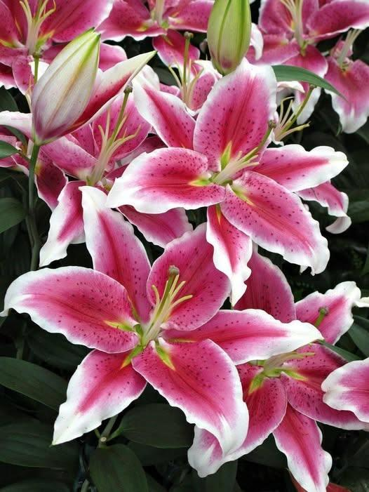 Roy Kelley tweet media