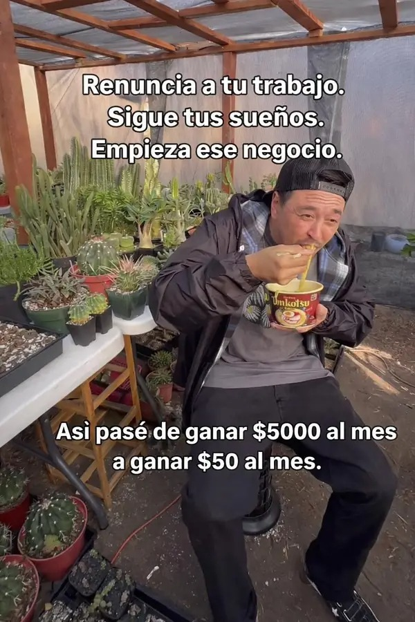 🇲🇽 México Mágico ✨ tweet media