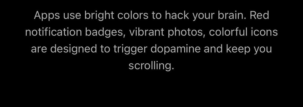 0xdynamo⚡️ tweet media