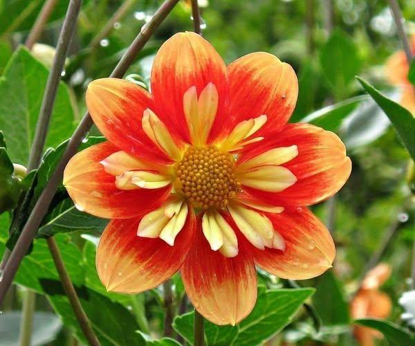 Roy Kelley tweet media