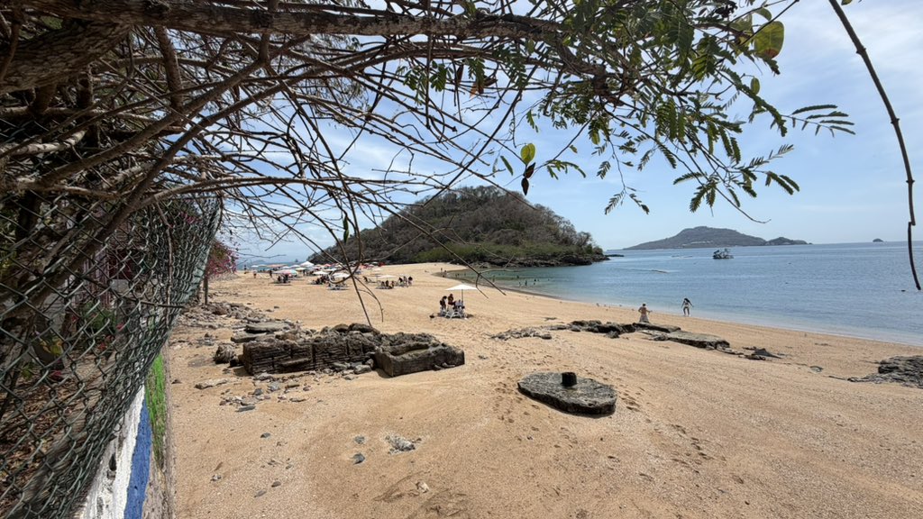 AprilTheRoo tweet media