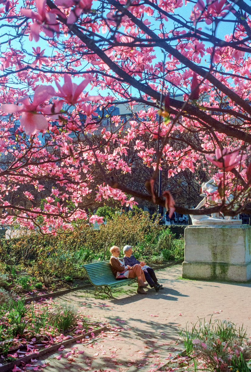 La suite de mes pellicules à Paris 🌸