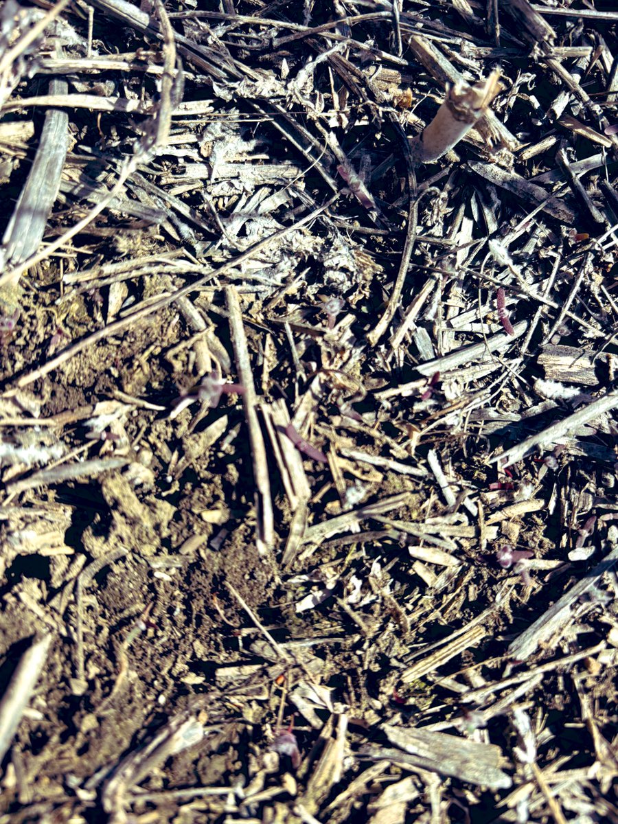 Jenny Rae Seward tweet media