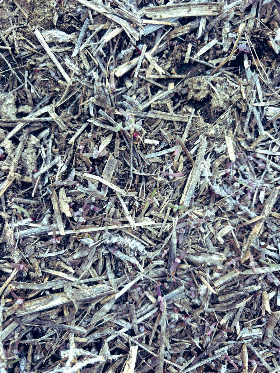 Jenny Rae Seward tweet media