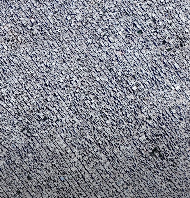 Dr. Ricardo Duchesne tweet media