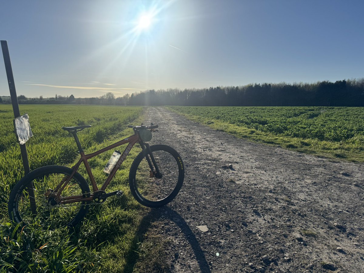 Ben Lisle tweet media