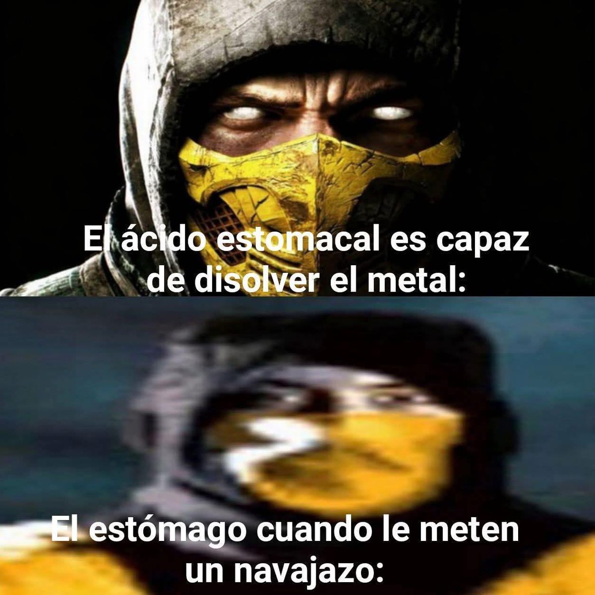 Una hormiga que mira tu post 🐜 tweet media