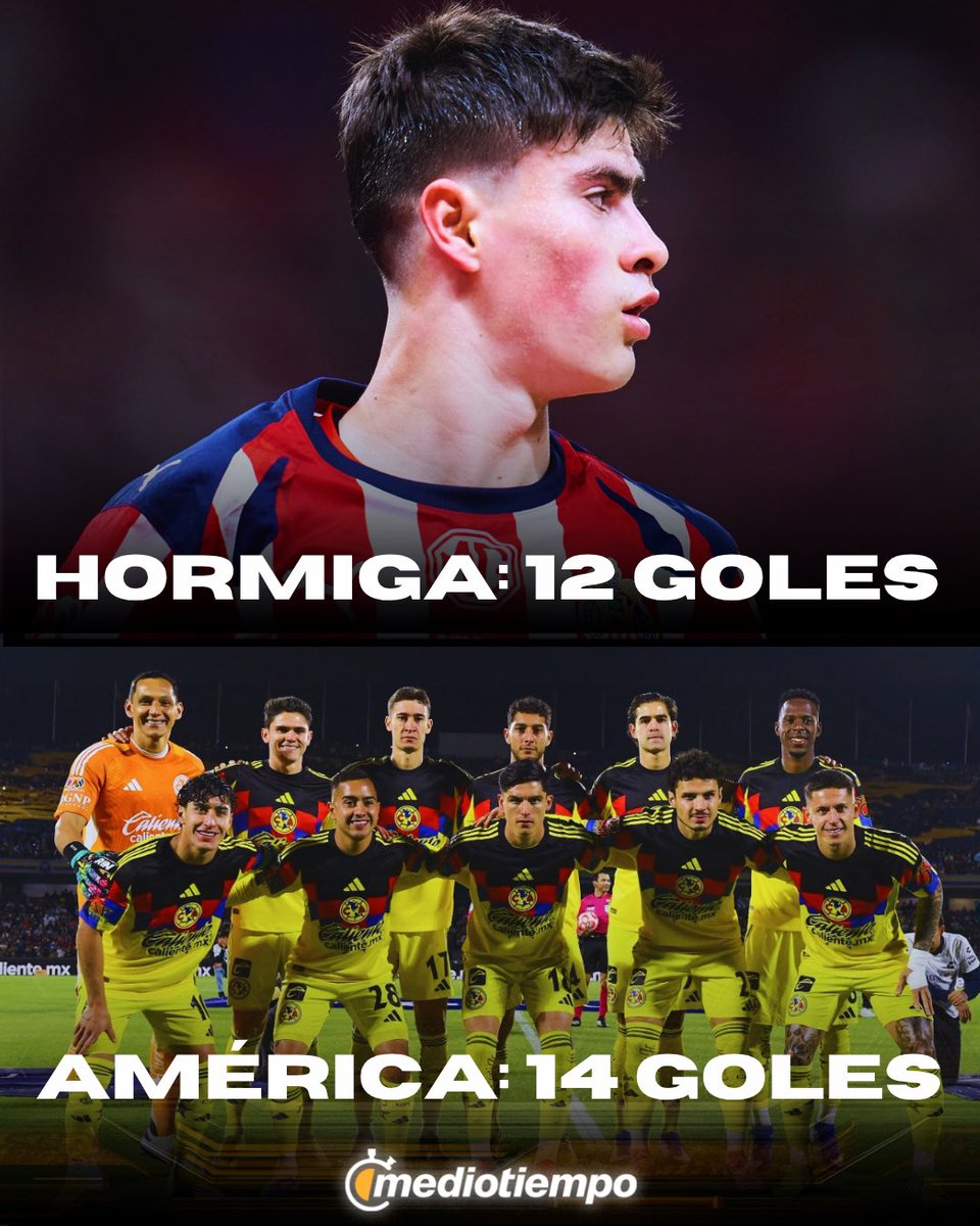 MedioTiempo tweet media