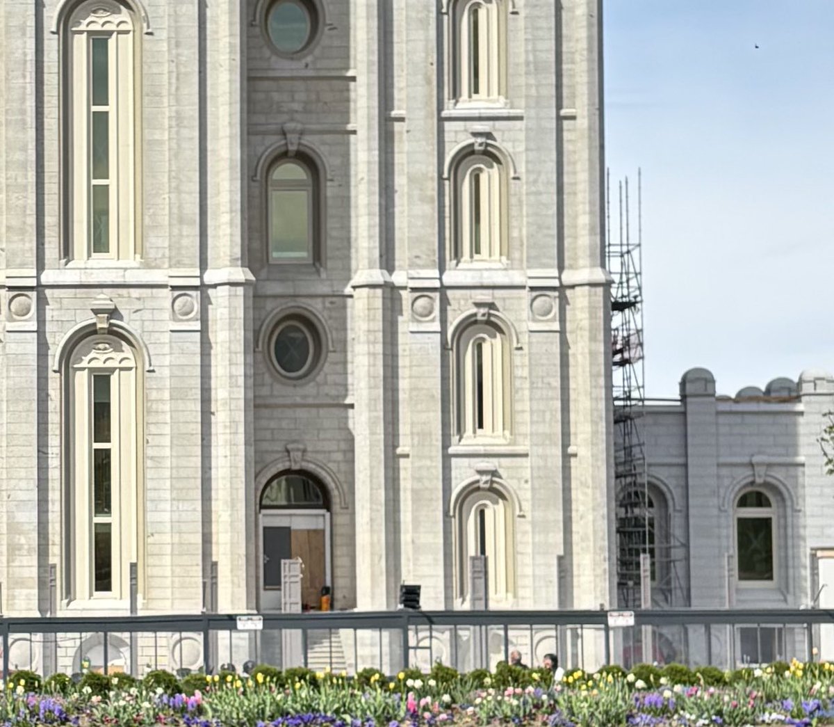 Jeanine Elsholz tweet media