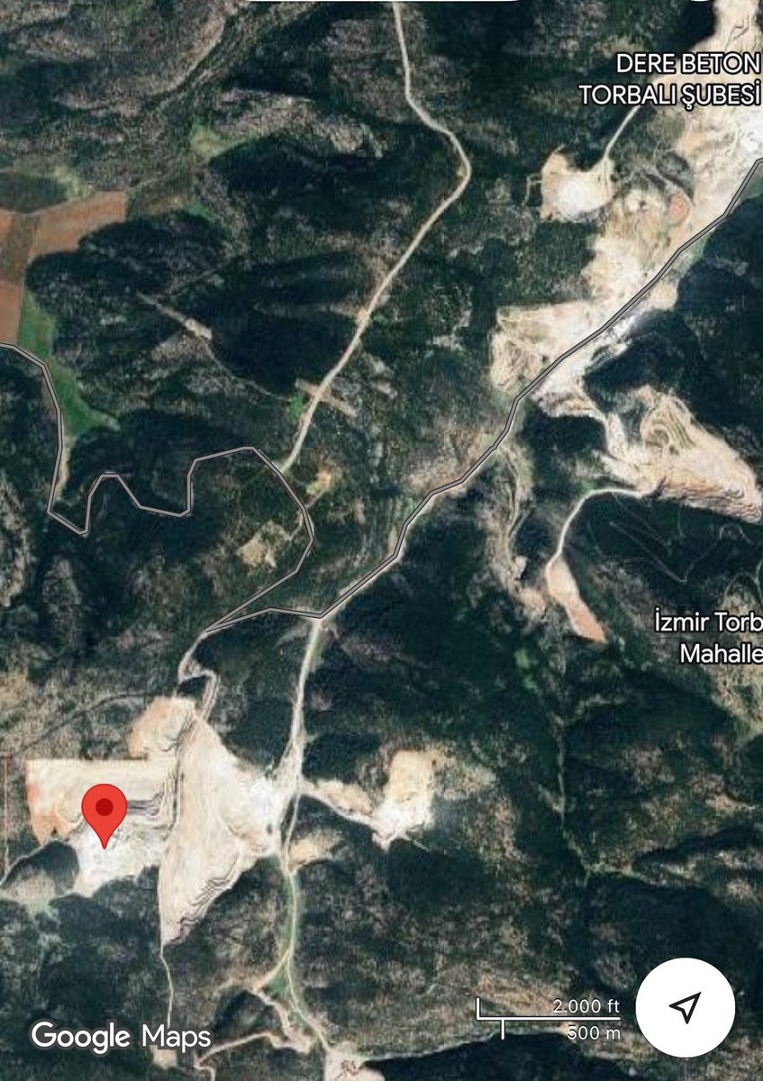 Cem Tamay tweet media