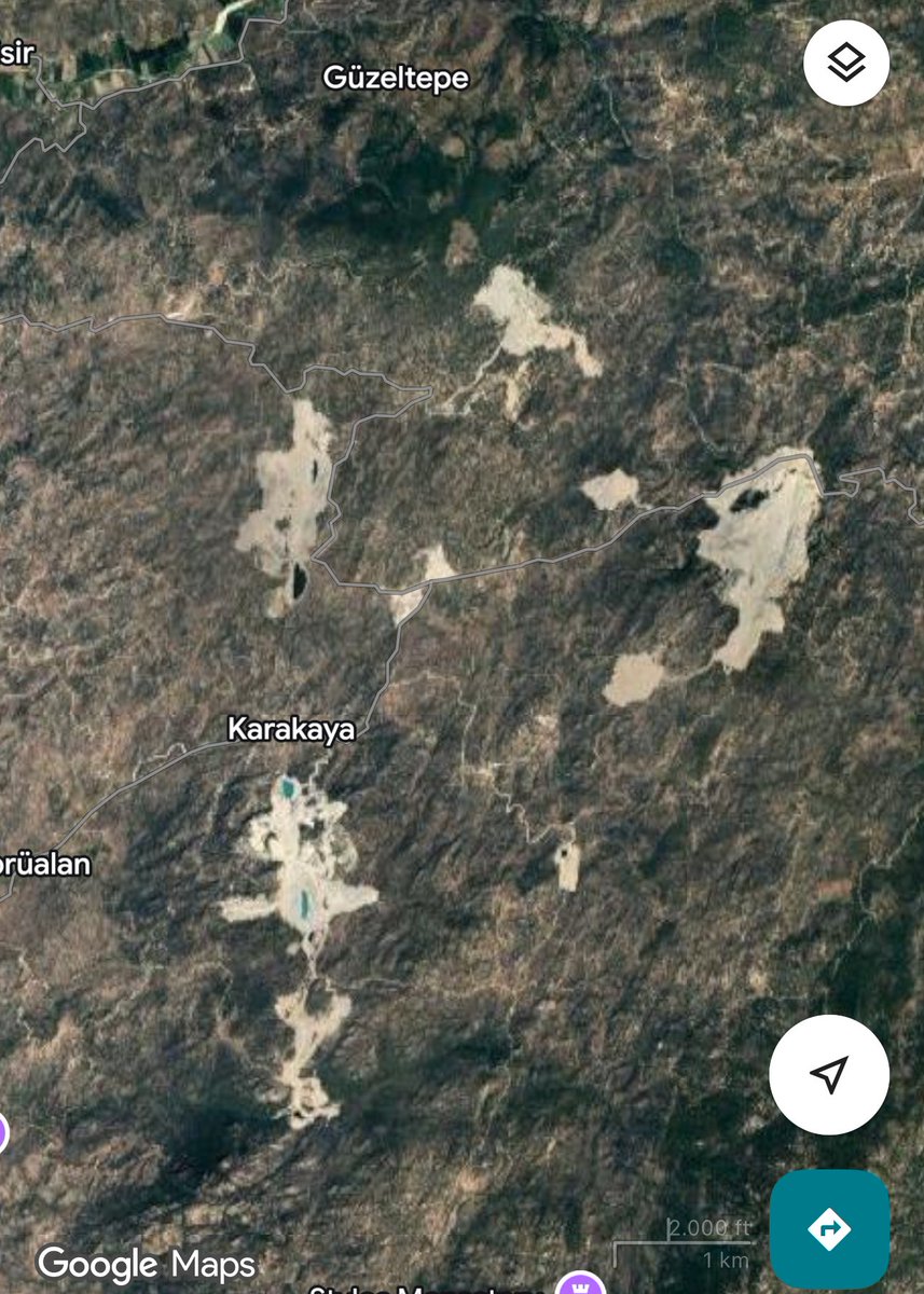 Cem Tamay tweet media