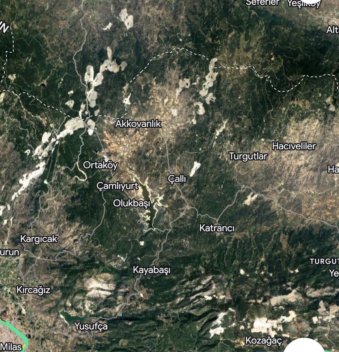 Cem Tamay tweet media