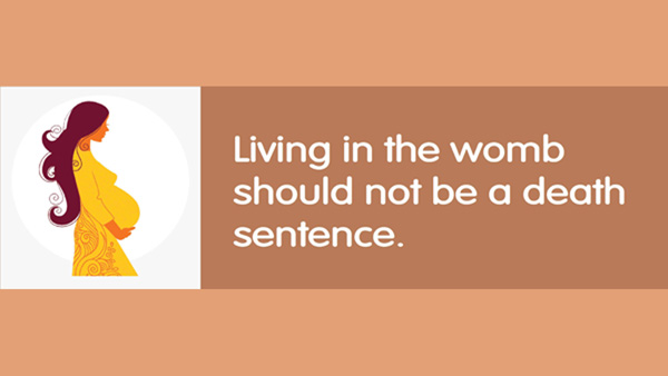 Jewish Pro-Life Foundation tweet media